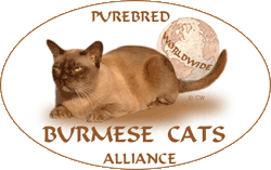 logo_burmesen_cats3